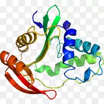人体珠宝线有机体剪贴画线-空若网 人体珠宝线有机体剪贴画线-空若网