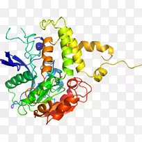 艺术植物有机体线剪贴画-蔬菜-空若网 艺术植物有机体线剪贴画-蔬菜-空若网