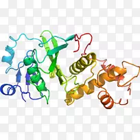 �߲˼�����-�߲�-������