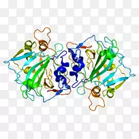 �������߼�������-������