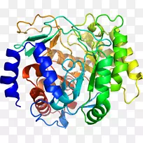 人体珠宝有机体线条剪贴画.珠宝-空若网 人体珠宝有机体线条剪贴画.珠宝-空若网