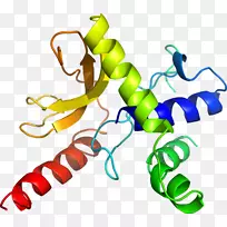 �����߶����������-������