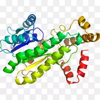 人体首饰有机体线剪贴画线-空若网 人体首饰有机体线剪贴画线-空若网