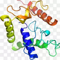 人体珠宝有机体线条剪贴画.珠宝-空若网 人体珠宝有机体线条剪贴画.珠宝-空若网