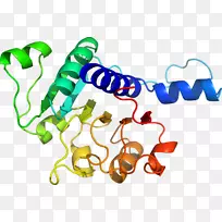 �����߶����������-������