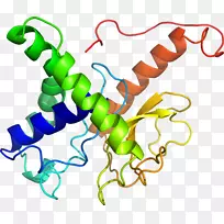 生物线动物剪贴画线-空若网 生物线动物剪贴画线-空若网