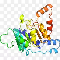人体珠宝有机体线条剪贴画.珠宝-空若网 人体珠宝有机体线条剪贴画.珠宝-空若网