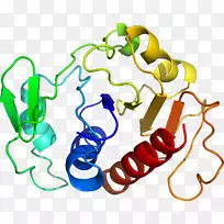 人体珠宝剪贴画.设计-空若网 人体珠宝剪贴画.设计-空若网