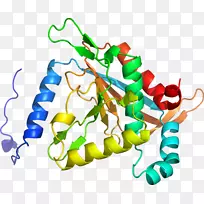 ���߼�����-��-������