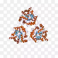 艺术食品字体-空若网 艺术食品字体-空若网