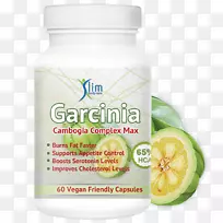 加奇尼果胶-古塔风味无菌水果-空若网 加奇尼果胶-古塔风味无菌水果-空若网