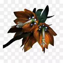 摄影花卉博客-花-空若网 摄影花卉博客-花-空若网