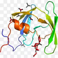 线点生物剪贴画线-空若网 线点生物剪贴画线-空若网