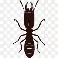 ���涫�����°�����������.����-������