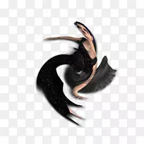 喙-空若网 喙-空若网