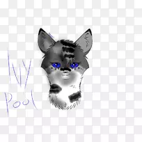 胡须猫狗鼻子犬科猫-空若网 胡须猫狗鼻子犬科猫-空若网