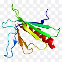 �ߵ������������-������