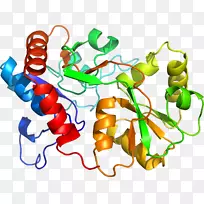 �߲��л���ϵ�м�����-�߲�-������