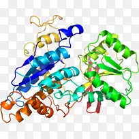 人体首饰有机体线剪贴画线-空若网 人体首饰有机体线剪贴画线-空若网