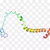 �ߵ���л����������-������