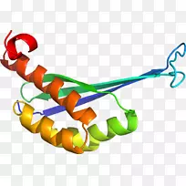 �����鱦���л����������-������