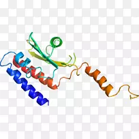 线点生物剪贴画线-空若网 线点生物剪贴画线-空若网