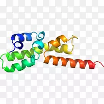 �߲��л���ϵ�м�����-�߲�-������