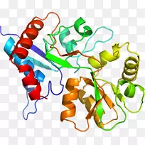 线点生物剪贴画线-空若网 线点生物剪贴画线-空若网