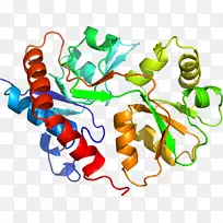 �ߵ������������-������