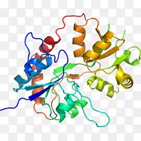 线点生物剪贴画线-空若网 线点生物剪贴画线-空若网