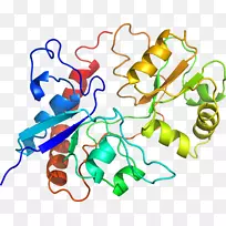 �ߵ������������-������