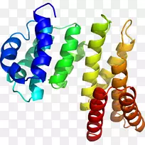 食品首饰剪贴画.设计-空若网 食品首饰剪贴画.设计-空若网