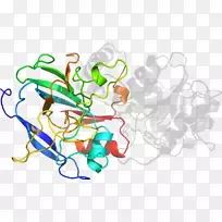 �����������������-������