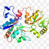 �����߶����������-������