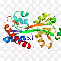 �ߵ������������-������