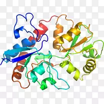 线点生物剪贴画线-空若网 线点生物剪贴画线-空若网