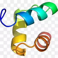 �����鱦������.���-������