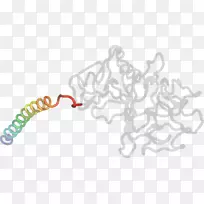 ���߶��������-��-������