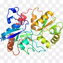 �����߶����������-������