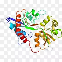 �ߵ������������-������