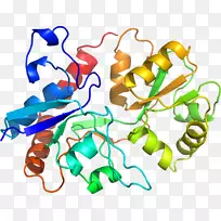 生物线动物剪贴画线-空若网 生物线动物剪贴画线-空若网