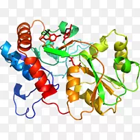 蔬菜有机体系列剪贴画-蔬菜-空若网 蔬菜有机体系列剪贴画-蔬菜-空若网