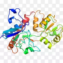 线点生物剪贴画线-空若网 线点生物剪贴画线-空若网