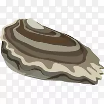 牡蛎电脑图标下载剪贴画-空若网 牡蛎电脑图标下载剪贴画-空若网