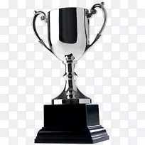 奖杯google图片adobe插画家玻璃奖杯图像-空若网 奖杯google图片adobe插画家玻璃奖杯图像-空若网