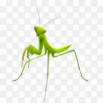 ó«òë-¿ÕÈôÍø ó«òë-¿ÕÈôÍø