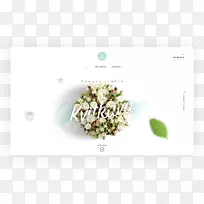 Ҷ�߲��䷽����ʳƷ-������