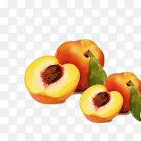 ��������-����-������