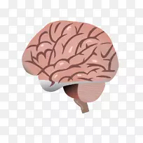 ����ά������-������ѧ����-������