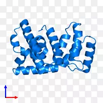 �߼��������-������